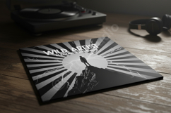 Kizo - Sophisticated Modern Sans Serif Product Image 15