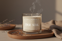 Jije - Sophisticated Modern Serif Font Product Image 9