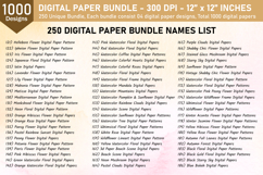 Digital Paper Bundle | Pattern Bundle | Scrapbook Paper Product Image 11