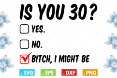 Is you 30? Birthday design funny svg Product Image 1
