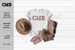 Bella Canvas 3001CVC Heather Prism Natural Mock Up Product Image 1