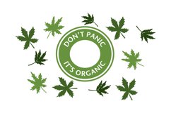 Cannabis 24 OZ Cold Cup Template. Full Wrap 24 OZ SVG Product Image 2