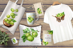 Gooseberry. Watercolor collection Product Image 23