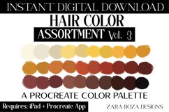 Hair Color Assortment Vol. 3 Natural Color Palette Swatches Product Image 1