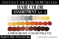 Hair Color Assortment Vol. 4 Natural Color Palette Swatches Product Image 1