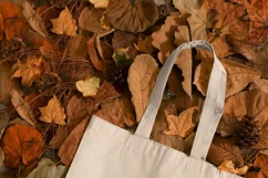 Hello Fall Orange Truck Png Digital Download for Sublimation Product Image 6