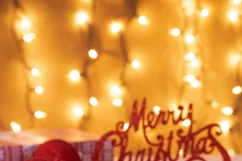 Merry Bookmas Christmas Village Bookstore, Instant Download Product Image 7