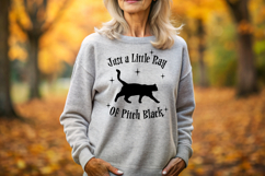 Just a Little Ray of Pitch Black Cat Funny Sarcastic PNG Product Image 4