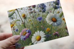 30 Watercolor Meadow Wildflowers Clipart PNG Sticker Bundle Product Image 14