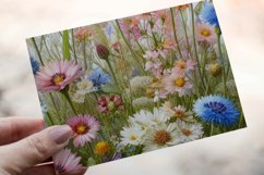 30 Watercolor Meadow Wildflowers Clipart PNG Sticker Bundle Product Image 16