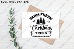 Farm Fresh Christmas Trees Pine Spruce Fir SVG, Christmas Product Image 3