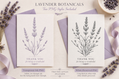 Lavender Photoshop &amp; Affinity Brushes Transparent PNGs Product Image 3