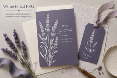 Lavender Photoshop &amp; Affinity Brushes Transparent PNGs Product Image 4