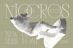 Mocros - New Tall Serif Font Product Image 1