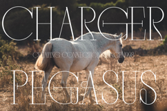 Mocros - New Tall Serif Font Product Image 3