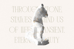 Mocros - New Tall Serif Font Product Image 11