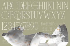 Mocros - New Tall Serif Font Product Image 18