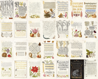 Set 1 Antique Calligraphy Design Book - 28 Unique Prints Product Image 2