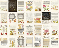 Set 2 Antique Calligraphy Design Book - 28 Unique Prints Product Image 2