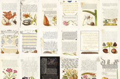 Set 3 Antique Calligraphy Design Book - 29 Unique Prints Product Image 2