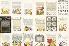 Set 4 Antique Calligraphy Design Book - 29 Unique Prints Product Image 2