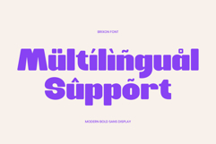 Brixon Product Image 6