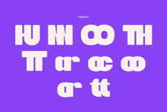 Brixon Product Image 7