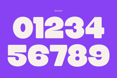 Brixon Product Image 9