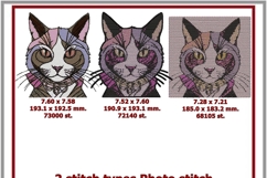 Cat in Hoodie Photostitch Machine Embroidery Fashion Design Product Image 3