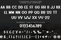 Modern Designer Product Image 6