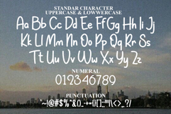 Modern Minimalist Product Image 7