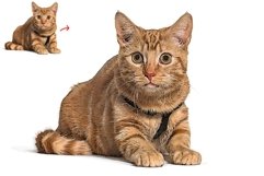 Modern Digital Painting Product Image 2