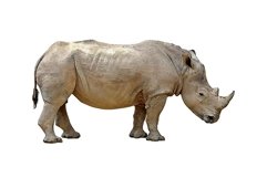 Modern Digital Painting Product Image 5