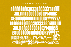 Nicha Product Image 3