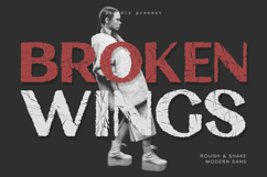 Broken Wings Product Image 1