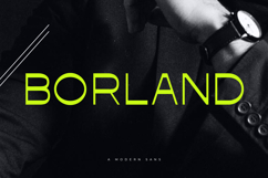 Borland Sans Product Image 1