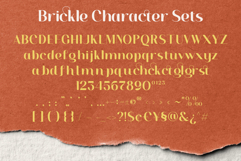 Brickle Product Image 2