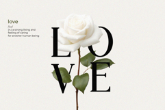 Scrawl Product Image 3