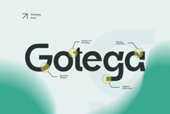 Gumooy Product Image 6