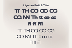 Stako Family Font Product Image 10