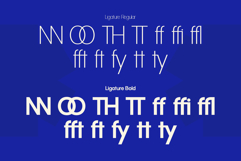 Clairo Sans Product Image 7