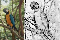 Modern Sketch Photo Plugin Product Image 13