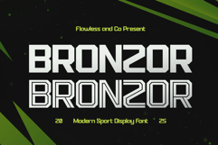 Bronzor Product Image 1