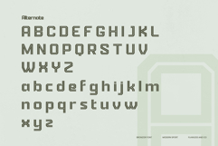 Bronzor Product Image 8