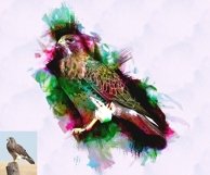 Modern Watercolor Painting Product Image 8