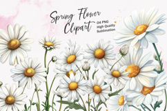 Daisy flower watercolor clipart sublimation Product Image 1