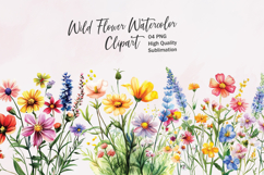 Wildflower Clusters - watercolor flowers borders PNG Product Image 1