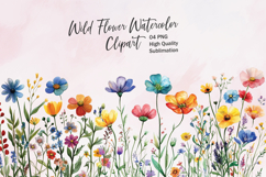 Wildflower Clusters - watercolor flowers borders PNG Product Image 1