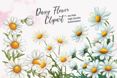 Daisy flower watercolor clipart sublimation Product Image 1