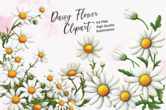 Daisy flower watercolor clipart sublimation Product Image 1